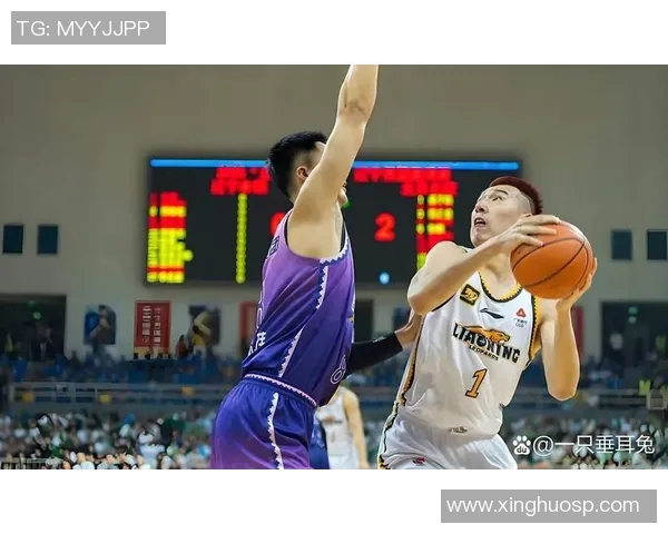 辽宁对阵北控精彩视频开场回顾全场比赛亮点与精彩瞬间一览