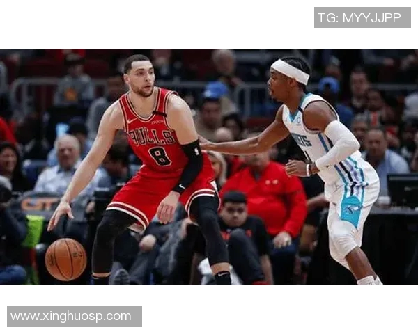 公牛与黄蜂激战全场精彩回放11月24日比赛精彩瞬间回顾 公牛与黄蜂激战全场精彩回放11月24日比赛精彩瞬间回顾