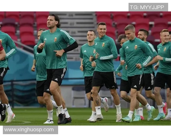 葡萄牙与荷兰的激烈对决分析及比赛前瞻