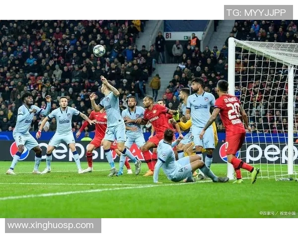 西布朗主场迎战纽卡斯全力争胜期待精彩对决 西布朗主场迎战纽卡斯全力争胜期待精彩对决