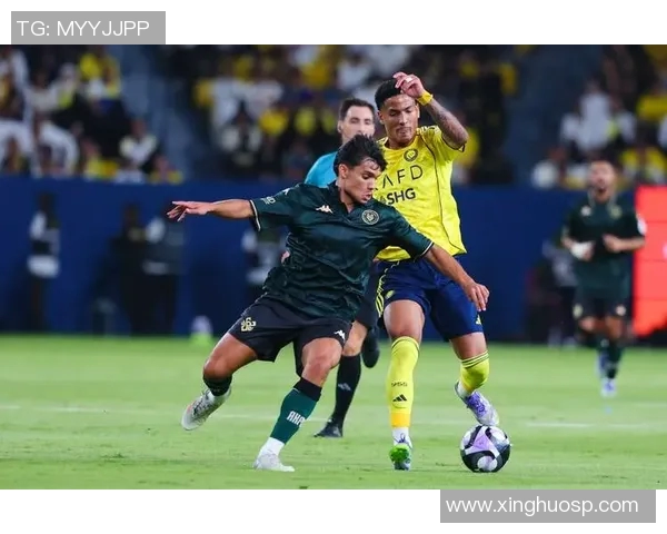 伊尼戈马丁内斯的足球生涯与个人成就深度解析